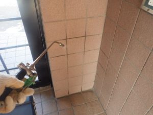 大量発生したカメムシ駆除対策！